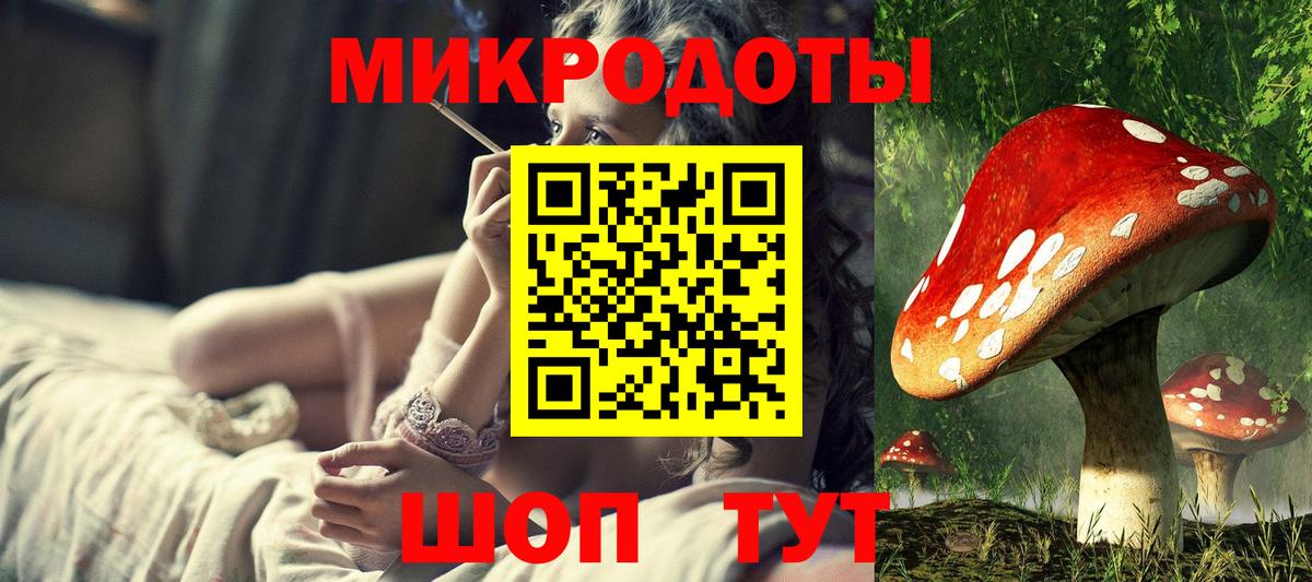 Псилоцибиновые грибы мухоморы Нововоронеж