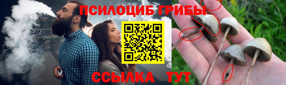 Галлюциногенные грибы Cubensis  Вход с VPN  Псилоцибиновые грибы Psilocybine cubensis  Нововоронеж 